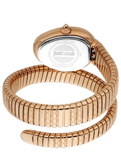 Justcavalli Signature Snake Women's Watch JC1L222M0045 - pzsku/Z0781084FAC18C631C990Z/45/_/1727342507/e3556b8c-34be-4380-93af-c6b8c69c4fea