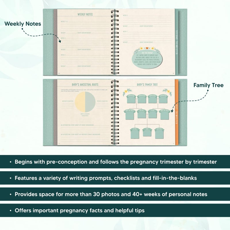 Studio Oh! Guided Pregnancy Journal by Studio Oh! - Bump for Joy - 9" x 9" - Beautifully Illustrated Hardcover Journal with Storage Pockets Creates a Keepsake of Maternity Memories - Image 4
