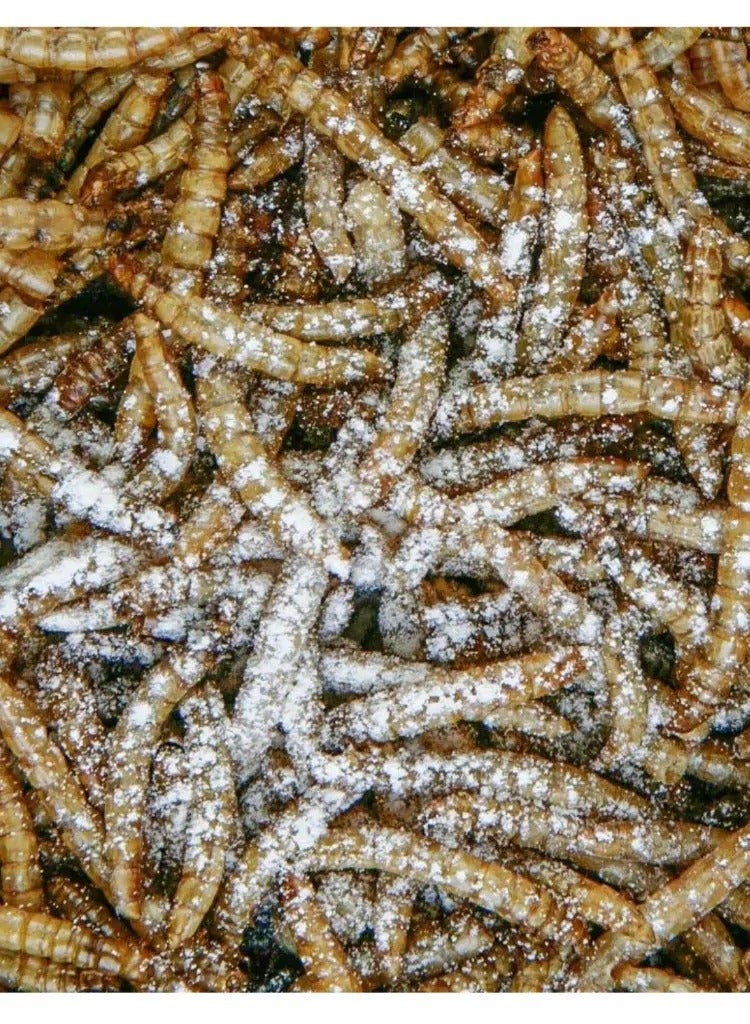 Sera Reptimineral C 100ml [Volume - 100ml] - Image 2