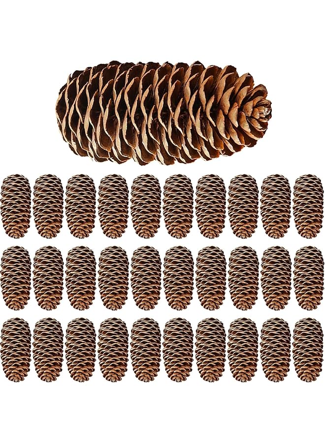 The Bros 30 Pieces Large Christma Natural Pine Cones Christmas Pine Cone Ornaments for Christmas Tree for Christmas Party Ornament DIY Crafts Home Decoration (6-8 cm)