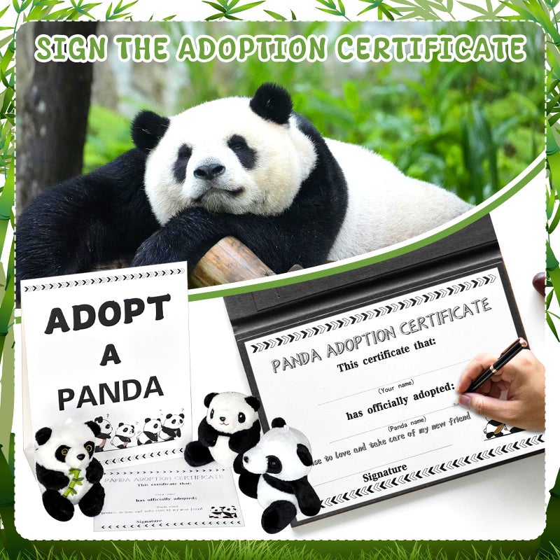 Jiytivity 38 Pcs Adopt a Panda Party Favors Include 12 Mini Panda Stuffed Animals 12 Foldable Boxes 12 Adoption Cards 1 Adopt Sign 1 Fence for Jungle Party Supplies Pet Adoption Baby Shower Birthday Gifts - Image 4