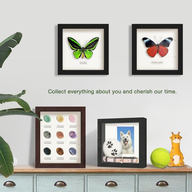 FrameWorks 8” x 10” Black Wooden Shadow Box Frame – Display Case with Soft Felt Back, Memory Box with Tempered Glass, Display Box with Elegant White Ball Push Pins, Wooden Flower Box - Image 5