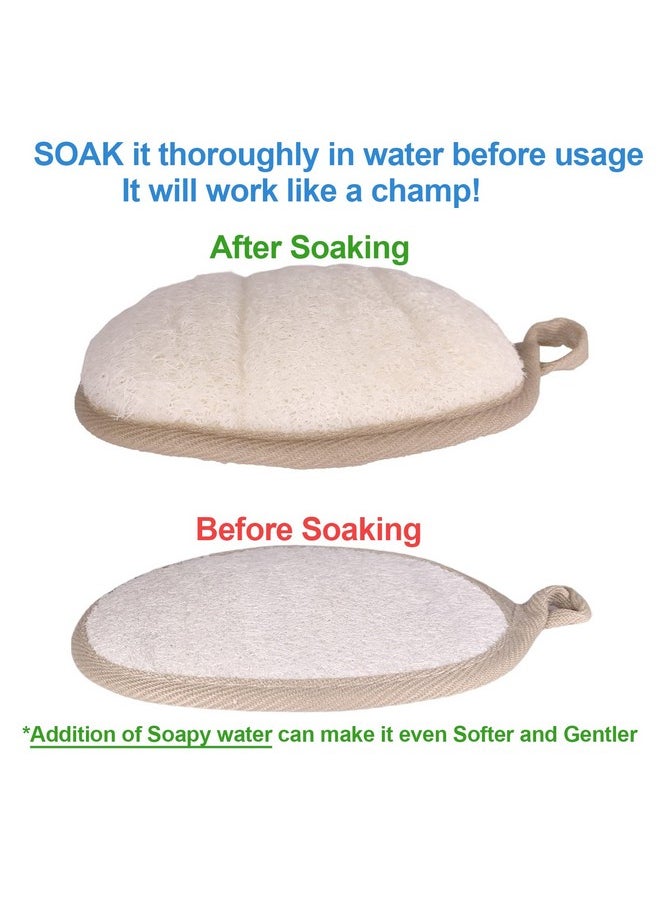 Exfoliating Body Scrubber Loofah Sponge (2 Pack) 100% Natural Lufa Bath Scrubber Body Scrubbers For Shower Scrub Loofa Large Lufas For Men And Women Loufa Biodegradable Exfoliator Scrubber Luffa - pzsku/Z07863A544225B5D94CCAZ/45/_/1696065112/993c5b16-9369-471a-a2f8-07ec0f4b4707