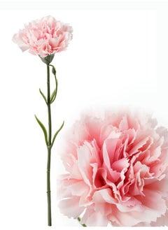 FEJKA Artificial flower, carnation/ pink 30cm  - Image 1