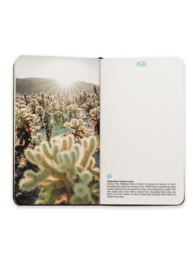 California Visual Notebook  - Image 3