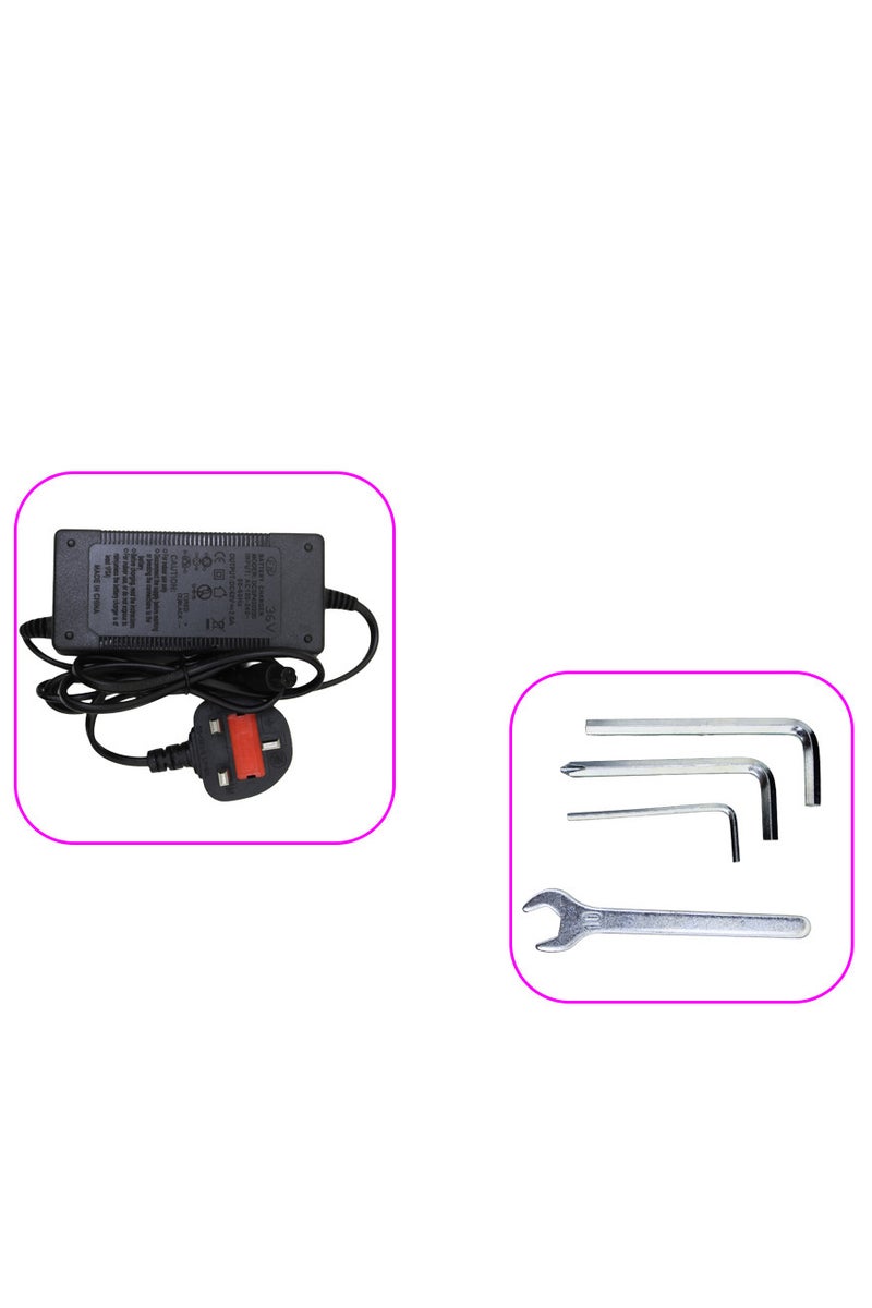 Leaders Drifting Electric Scooter 250W Motor 36V Battery 6 Inch Tires for Kids and Beginners - Image 5