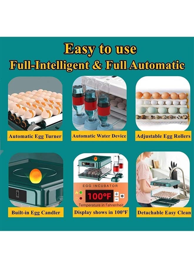 L&E Egg Automatic Incubator 12-15 Eggs Automatic Intelligent Incubators for Hatching Eggs,Poultry Hatching Machine for Chicken Duck Goose Quail Bird Pigeon  - Image 3