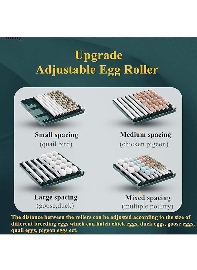 L&E Egg Automatic Incubator 12-15 Eggs Automatic Intelligent Incubators for Hatching Eggs,Poultry Hatching Machine for Chicken Duck Goose Quail Bird Pigeon  - Image 5