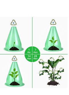 NIBEMINENT Garden Cloches for Plants, Reusable Plastic Small Plant Protector, Multifunctional Covers, Transparent Bell Jar to Protect Plants from Frost, Birds, Snail Damage Freeze Weather 12 Pack  - Image 2