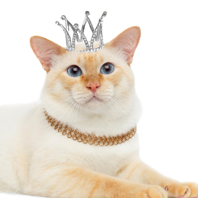 جيتك 4 PCS Mini Crown Cake Topper Birthday Tiara Crown Crystal Perl Princess Kueen Cake Crown for Wedding Pet Birthday ( - Image 2