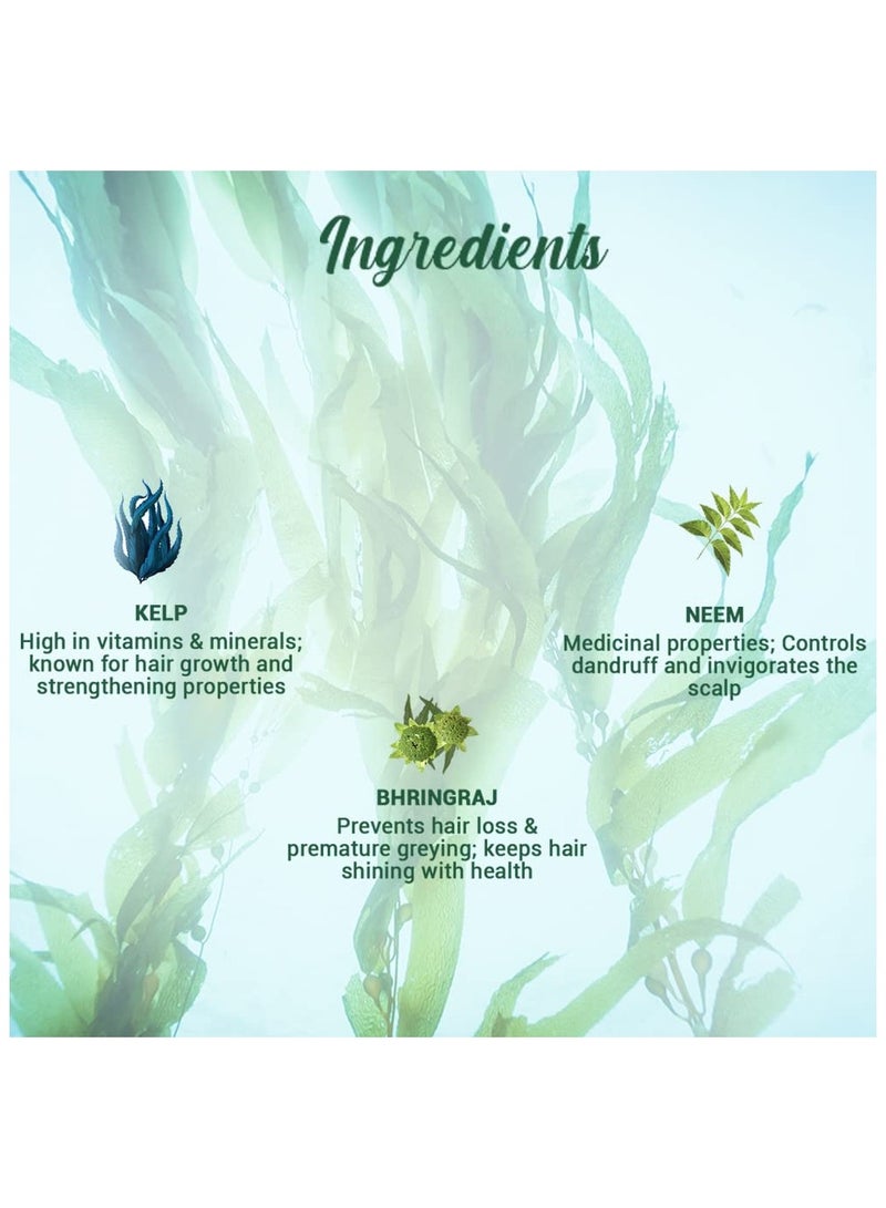 بيوتيك شامبو أوشن عشب البحر المضاد لتساقط الشعر شامبو علاج النمو اللامع 100٪ مستخلصات نباتية لجميع أنواع الشعر 800 مل - Image 2