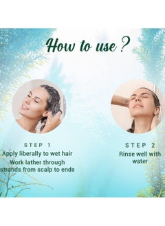 Ocean Kelp Anti Hairfall Shampoo Growth Therapy Shine 100% Botanical Extracts All Hair Types 800ml - pzsku/Z0789978721DB0377AA71Z/45/_/1740648794/06e6c3d3-6f7f-47f2-94a7-28814b2f63ff