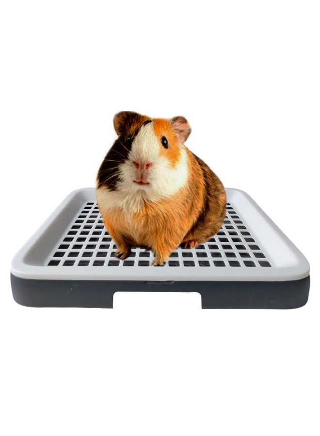 Oncpcare Guinea Pig Litter Tray Pan with Grate for Cage - Small Animal Potty Trainer - Rattie, Chinchilla, and Pet Litter Box - Easy-Clean, Space-Saving Design - 9.8x7.6x1.18 in - Image 1