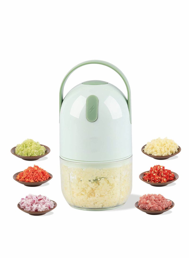 NIBEMINENT Mini Electric Food Chopper,Onion Garlic Chopper Mincer Portable food Processor for Vegetable Spices Seasoning Baby - Image 1