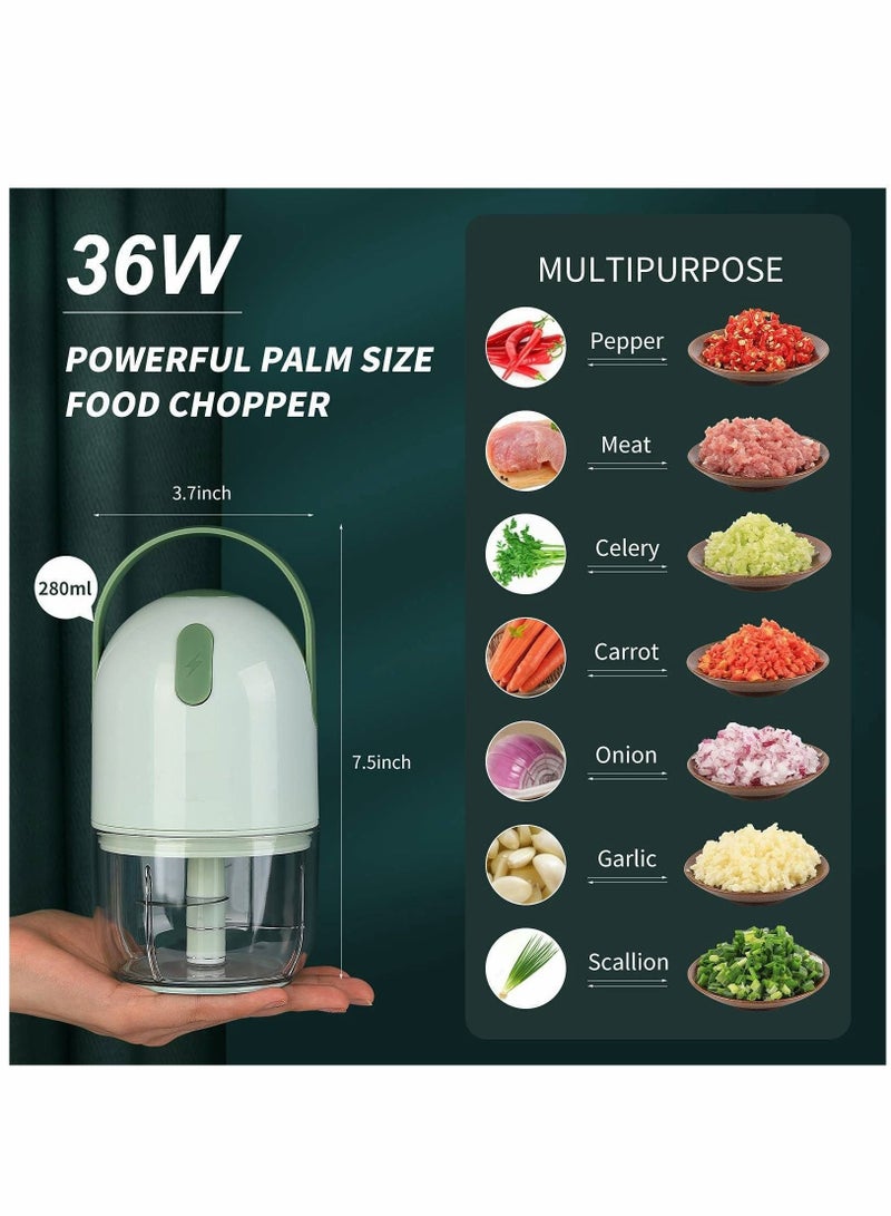 NIBEMINENT Mini Electric Food Chopper,Onion Garlic Chopper Mincer Portable food Processor for Vegetable Spices Seasoning Baby - Image 2