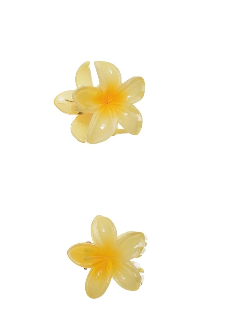 Generic - Plastic Clip Tuk Set With Two Piece Rose Design - Image 1