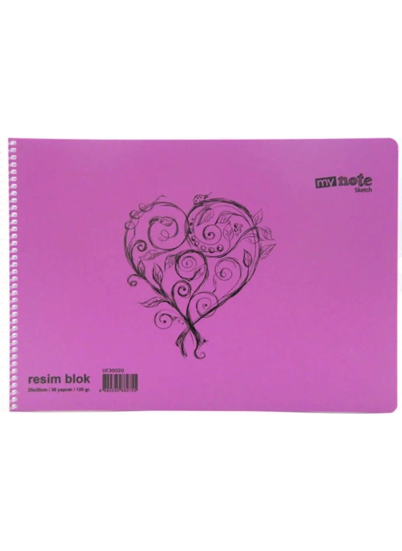 Mynote 24 Pieces Large Size 35X50 cm Drawing Book 30 Sheets Plastic Cover Spiral Mixed Color  - Image 3