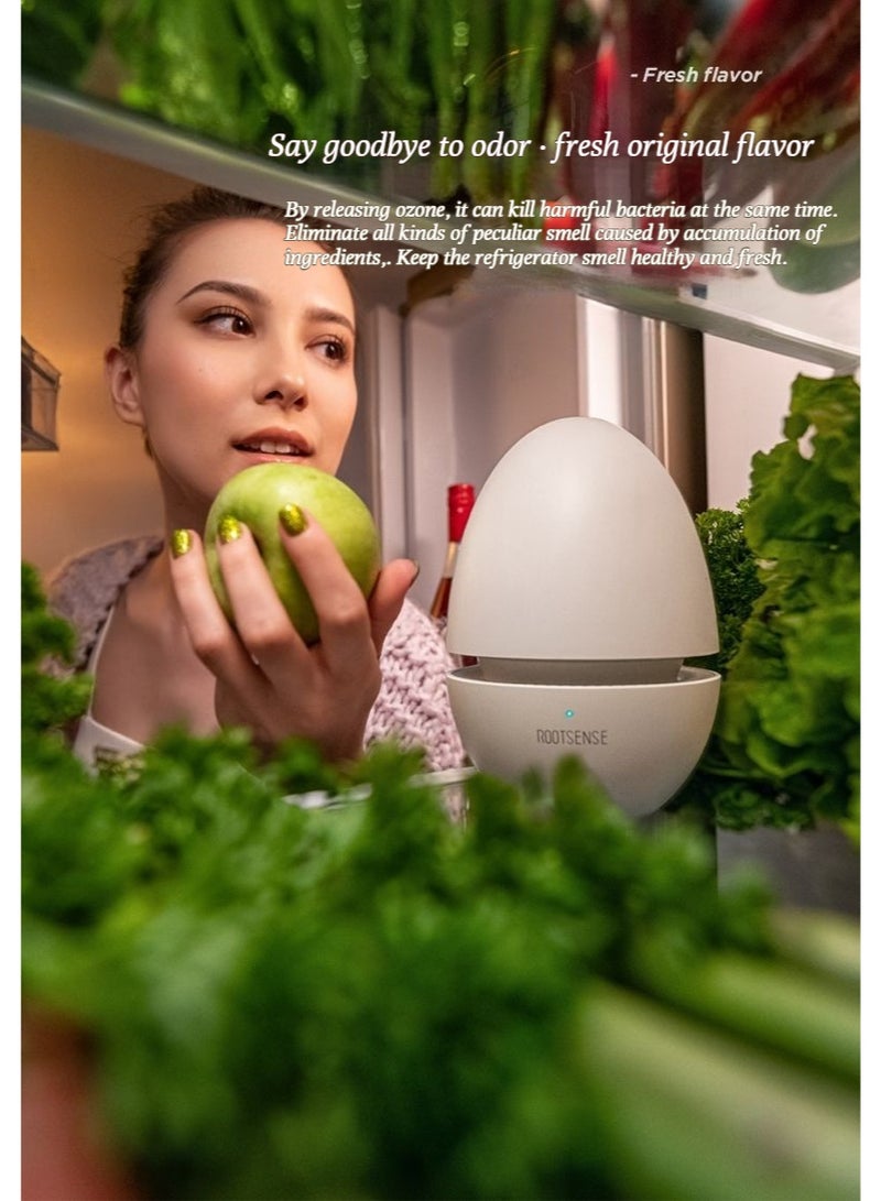 ROOTSENSE TONGUE-PROTECTING FANER EVAPORATOR FOR REMOVING ODORS AND PURIFYING AIR - Kills Listeria - 0 consumable parts - Bacterial-sterilizing candy eggs - Image 5