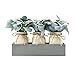 Elements Lambs Ear in Pot for Bathroom Farmhouse Faux Greenery Tabletop Centerpiece Mantel Office Desk Kitchen - Image 2