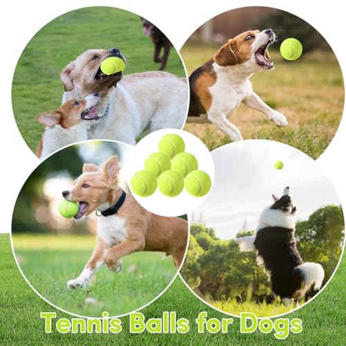 ZIYIZE Mini Tennis Balls, 6 Pack 2 inch Dog Tennis Balls, Easy Catching Pet Playing Ball for 2 inch Dog Ball Launcher - Image 5