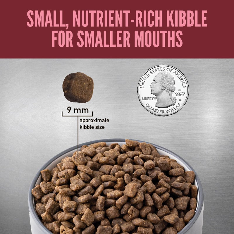 ORIJEN Grain Free High Protein Dry Dog Food Small Breed Recipe 4lb Bag - Image 5