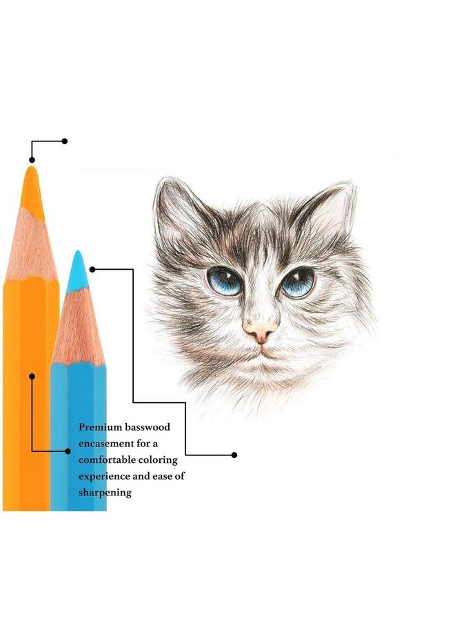 فنبلاست أقلام ألوان فن بلاست - ألوان أقلام رصاص للأطفال، مجموعة أقلام تلوين، ألوان أقلام رصاص للفنانين، أقلام تلوين شمعية، مجموعة ألوان، هدية عيد ميلاد للأطفال، مجموعة أدوات مكتبية للأطفال (24 قطعة) - Image 2