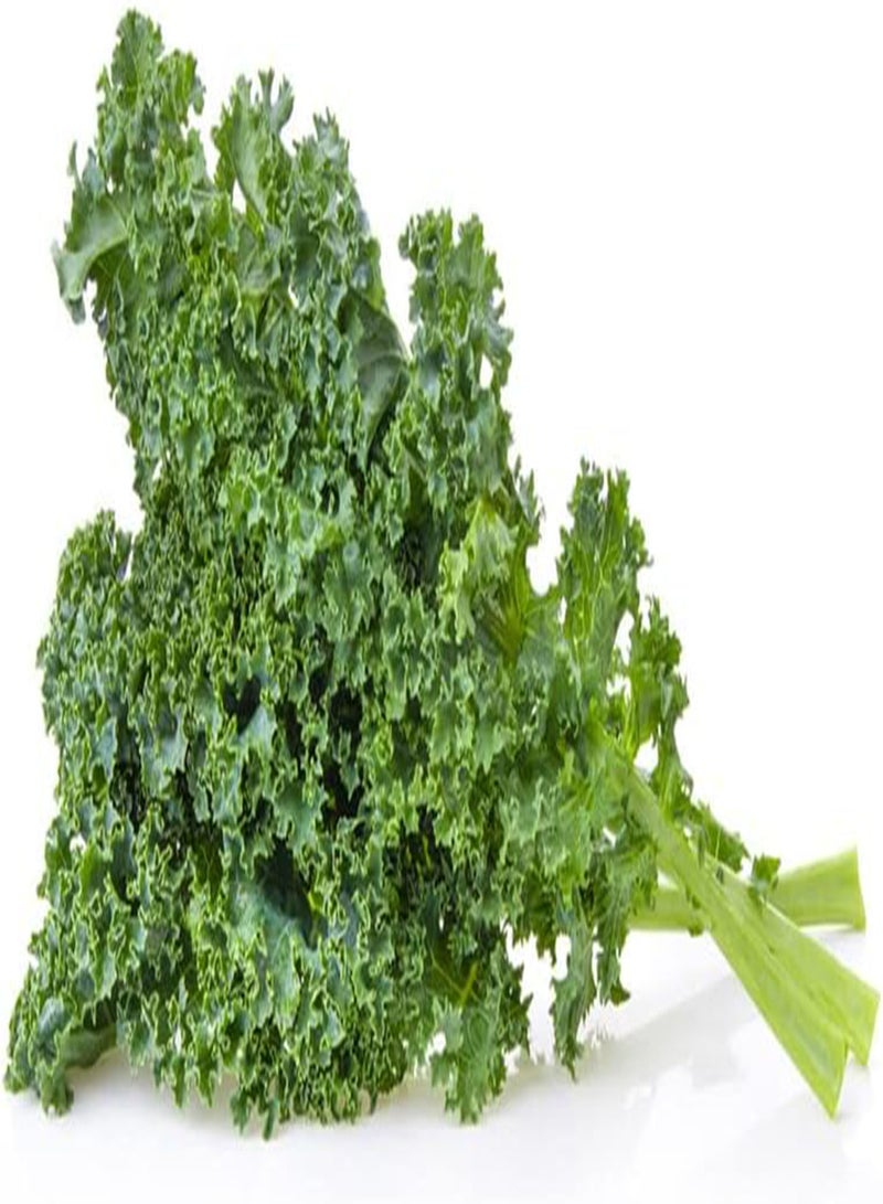 Kale Seeds (Dwarf Siberian Improved) (250+ Seeds)