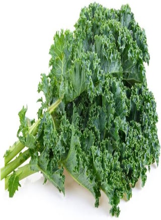 Kale Seeds (Dwarf Siberian Improved) (250+ Seeds) - pzsku/Z0791515856E47D8DCF26Z/45/1746366922/2251a453-bf51-4741-b284-553374bc8cf7