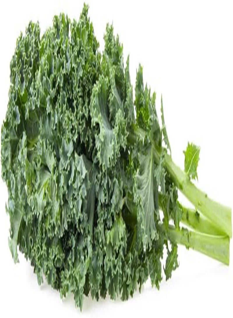 Kale Seeds (Dwarf Siberian Improved) (250+ Seeds)