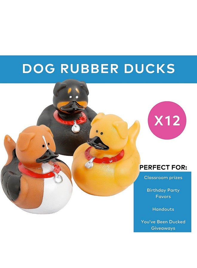 Fun Express Dog Rubber Duckies - Set of 12 Ducks - Party Favors and Giveaways - Image 2