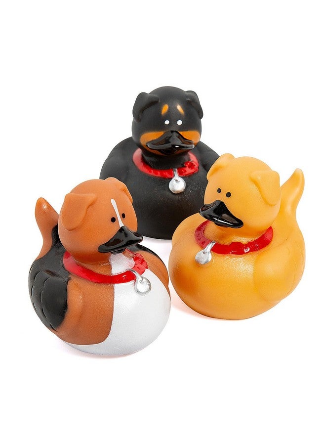 Fun Express Dog Rubber Duckies - Set of 12 Ducks - Party Favors and Giveaways - Image 1