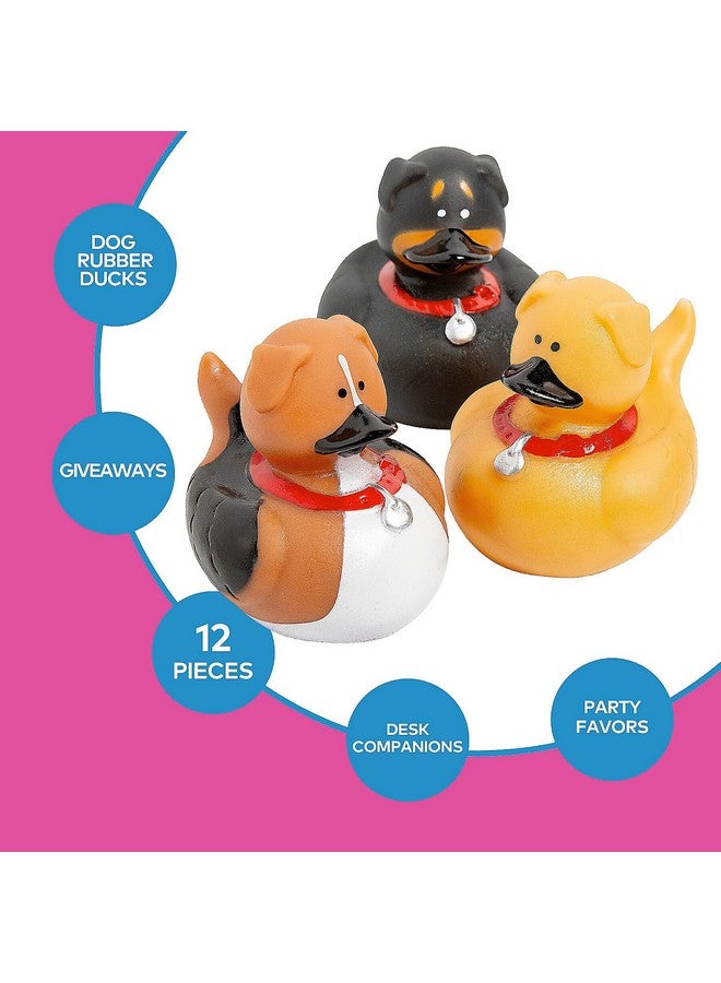Fun Express Dog Rubber Duckies - Set of 12 Ducks - Party Favors and Giveaways - Image 3