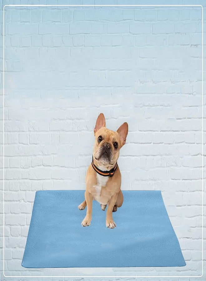 Trance Trance Home Linen Medium Size Pet Sheet / Size - (100cmx70cm) 100% Waterproof with Airflow Technology, Soft, Hypo-Allergenic, Washable Pet Dry Sheet, Potty Trainer, Sky Blue - Image 3