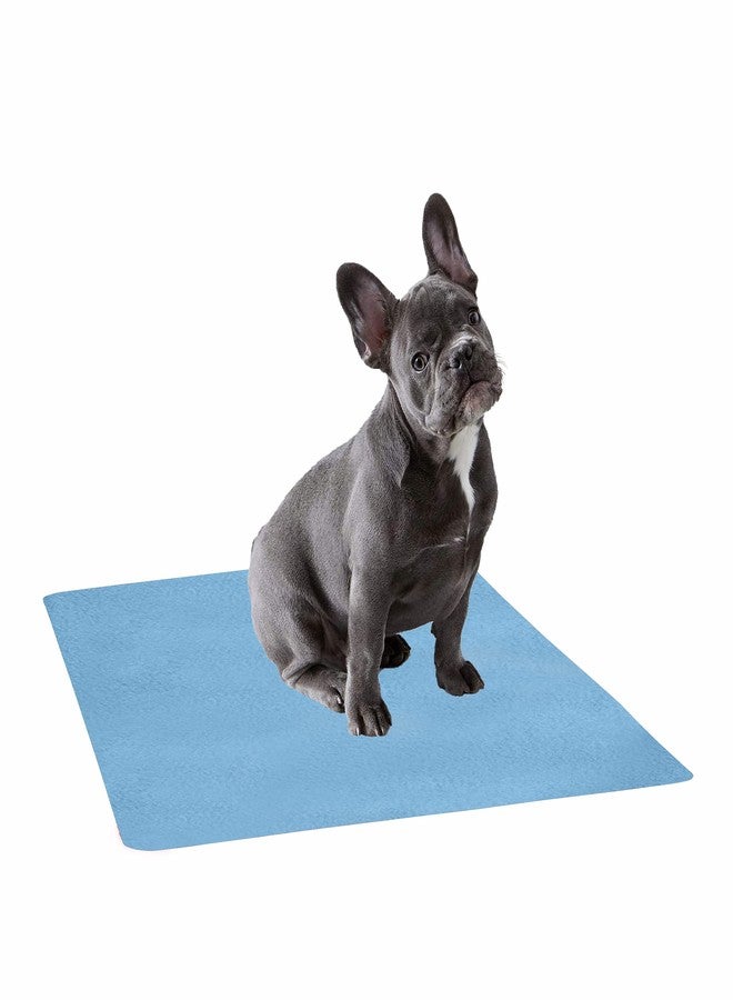 Trance Trance Home Linen Medium Size Pet Sheet / Size - (100cmx70cm) 100% Waterproof with Airflow Technology, Soft, Hypo-Allergenic, Washable Pet Dry Sheet, Potty Trainer, Sky Blue - Image 1