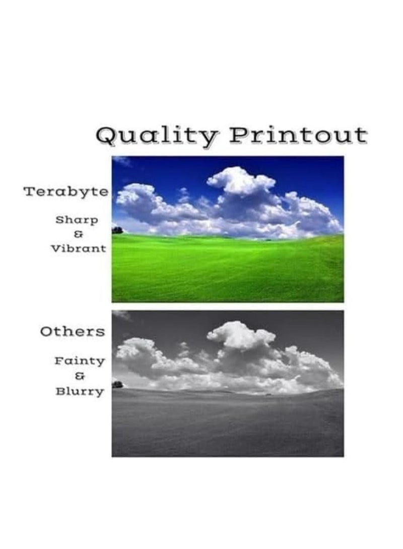 Terabyte 064 مجموعة حبر متوافقة مجموعة خراطيش حبر متوافقة للاستخدام في i-SENSYS LBP 722 Cdw، LBP 732 Cdw، MF 832 Cdw، MF 842 Cdw (أسود، سيان، أصفر، ماجنتا) - Image 2