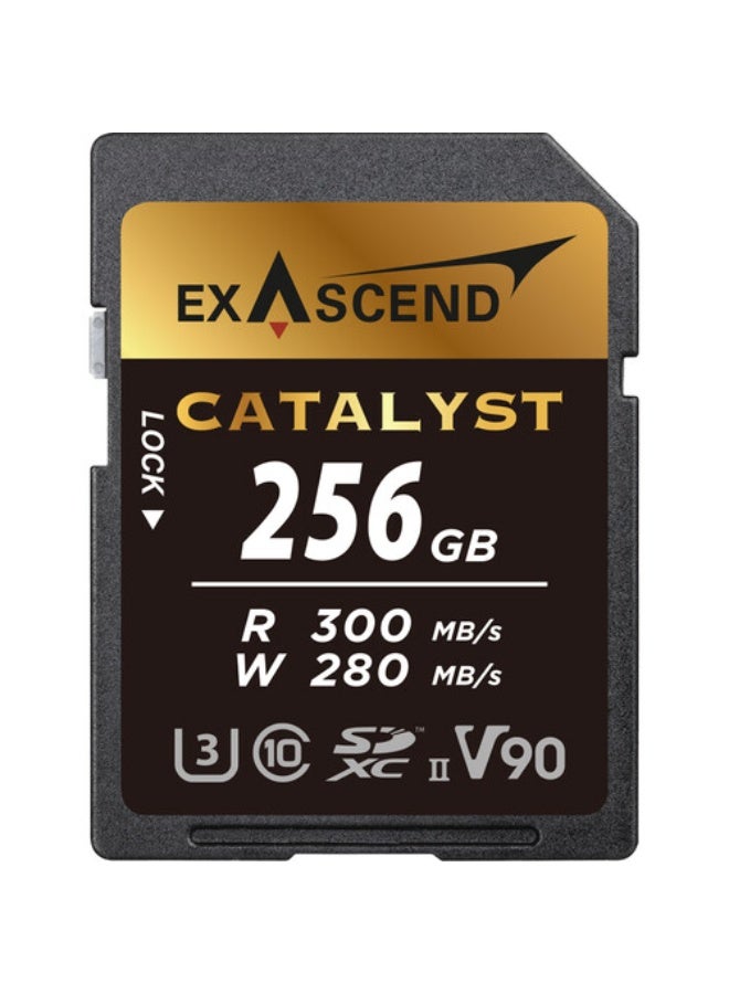 Exascend Catalyst 256GB UHS-II ,C10,V90 , upto 300 Mb/s read SDXC Memory Card - Image 1