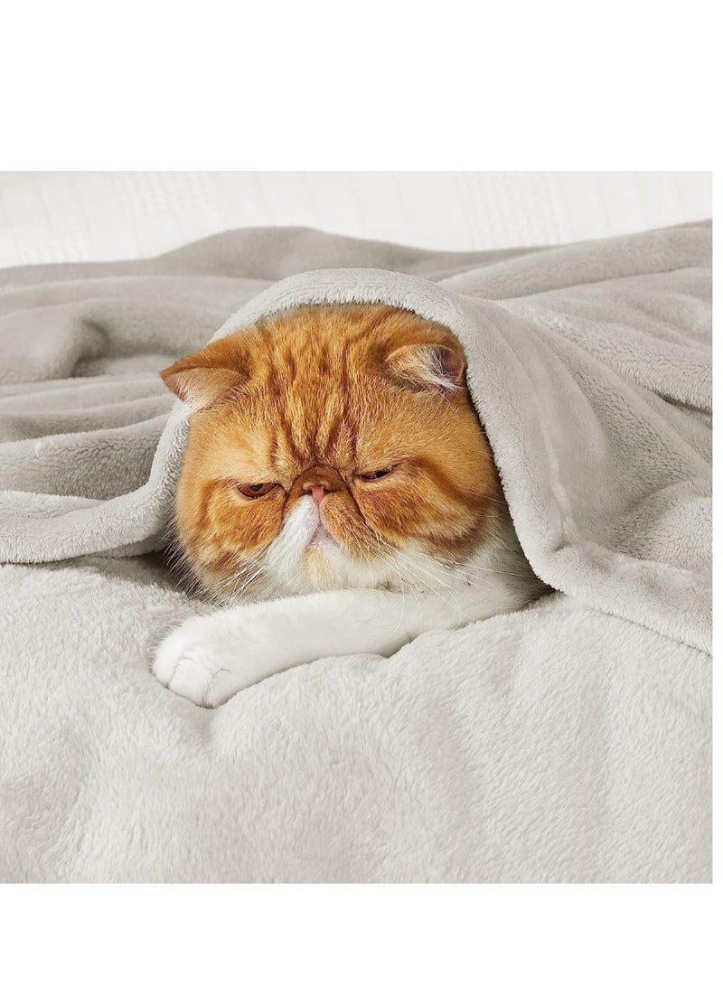 Moon Flannel and Microfiber Sofa Blanket, Luxury Light Silver Throw Blanket, Single Size Lightweight and Comfortable for Bed and Sofa, Super Soft and Warm Solid Color - Image 5