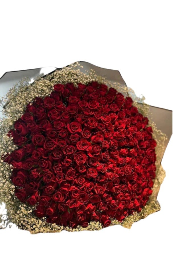 Petals by Aemi - Valentine's Day Rose Bouquets – Express Your Love with Fresh Flowers - Image 1