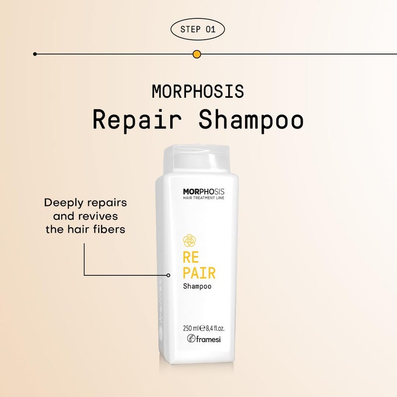 FRAMESI Morphosis Repair Shampoo 8.4 fl oz, Moisturizes and Strengthens Hair, Natural Ingredients, Color Safe - Image 3