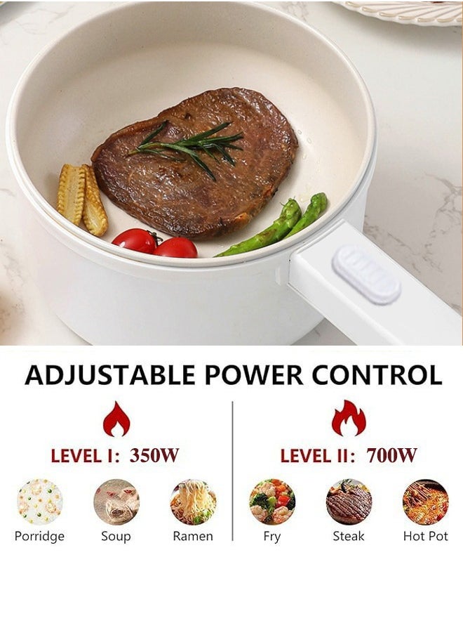 2L electric hot pot with steamer and temperature control, timed appointment, non-stick rice cooker shabu-shabu, frying pan, electric frying pan for noodles, eggs, steak, oatmeal and soup