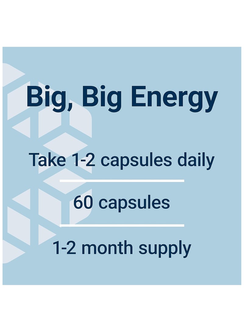 لايف إكستنشن لايف إكستينشن سوبر R-ليبويك أسيد 240 ملغ - Image 5