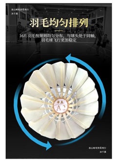 M&G M&G Chenguang pack of 6 Training Game Durable , Sports Entertainment Badminton Flying Ball Outdoor A2 - No:AST09312  - Image 4