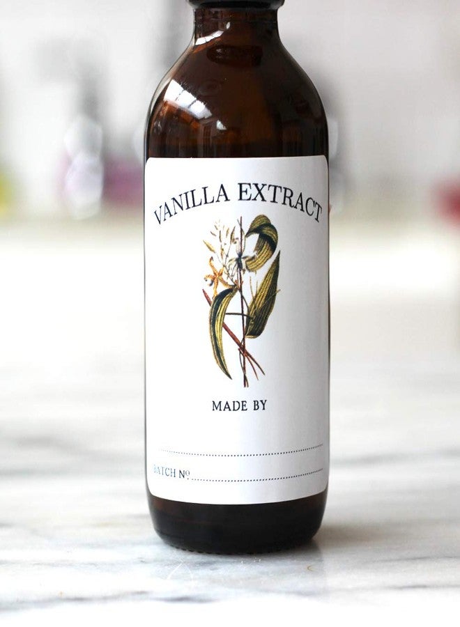 Nancy Nikko Vanilla Extract Labels - Pack of 12. Size >> 2" x 2" - Image 1