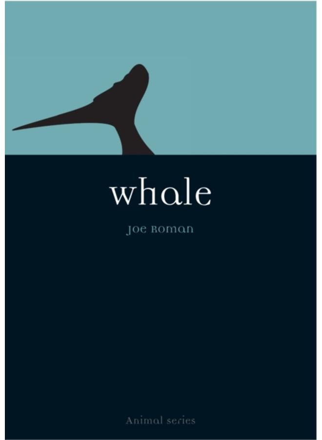 Whale 