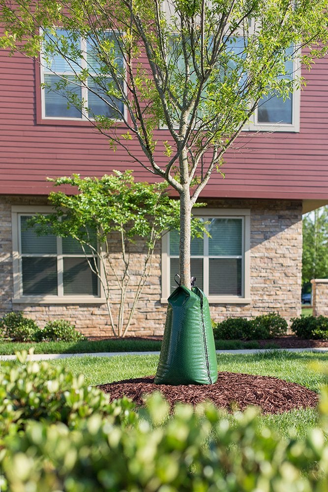 Treegator Original Slow Release Watering Bag for Trees, 1 Bag - Image 2