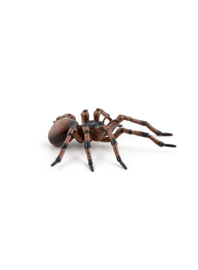 Papo Papo - Hand-Painted - Figurine - Common Spider - 50292 - Wildlife - Garden Animals - Collectible - for Children - Suitable for Boys and Girls- from 3 Years Old - Image 4