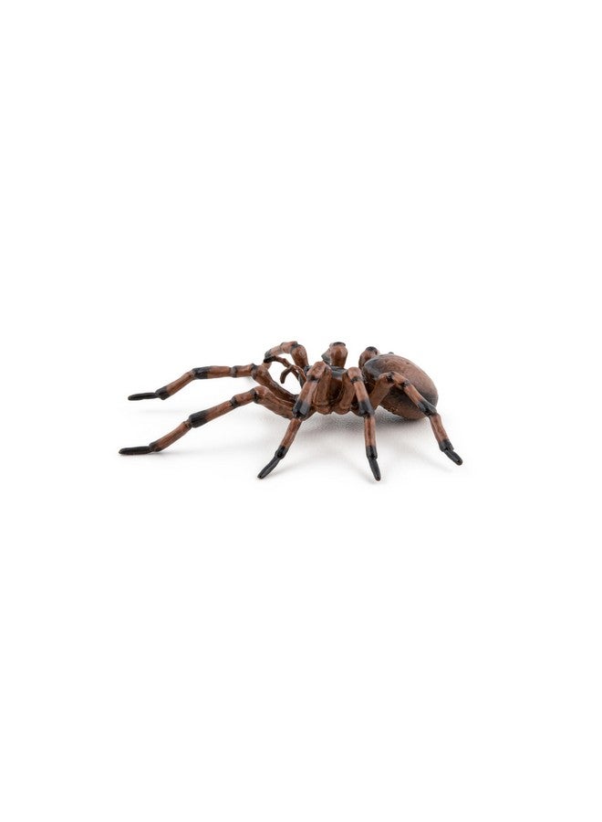 Papo Papo - Hand-Painted - Figurine - Common Spider - 50292 - Wildlife - Garden Animals - Collectible - for Children - Suitable for Boys and Girls- from 3 Years Old - Image 5
