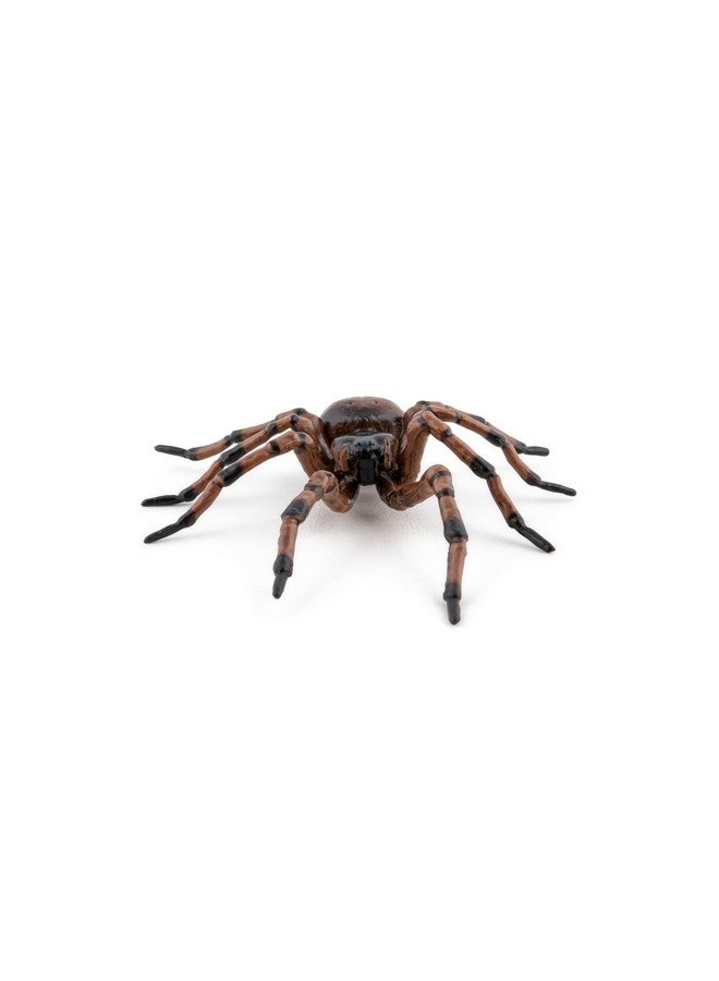 Papo Papo - Hand-Painted - Figurine - Common Spider - 50292 - Wildlife - Garden Animals - Collectible - for Children - Suitable for Boys and Girls- from 3 Years Old - Image 2