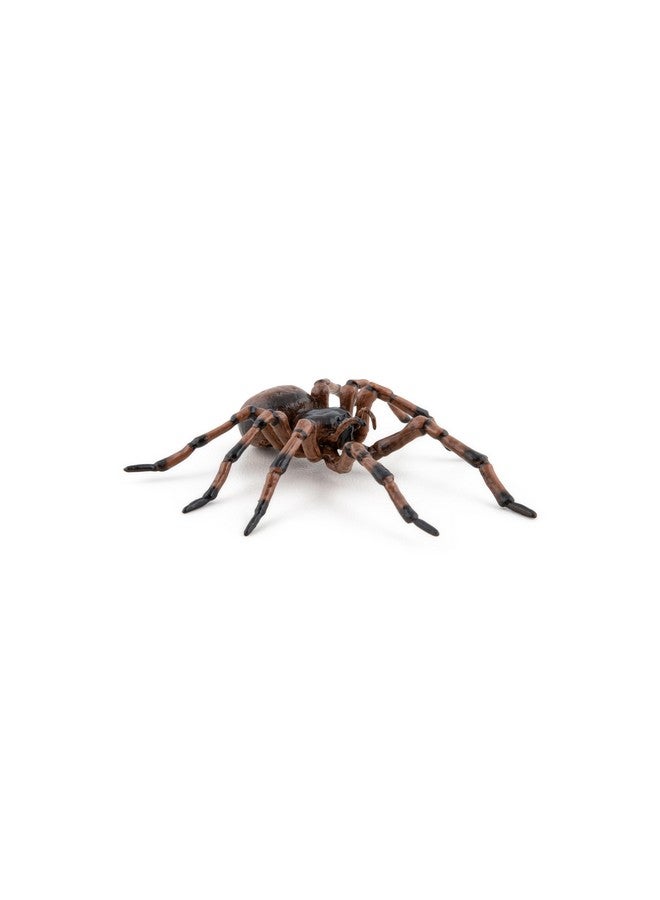 Papo Papo - Hand-Painted - Figurine - Common Spider - 50292 - Wildlife - Garden Animals - Collectible - for Children - Suitable for Boys and Girls- from 3 Years Old - Image 3