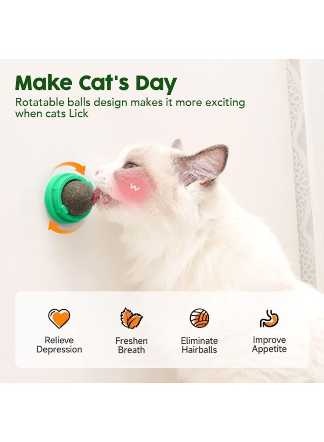 ChicAbode 4 Pcs Cat Toys, Catnip Toys Balls, Extra Cat Energy Ball, Natural Interactive Toy Edible Kitty Lick Toys, for Cats Lick Teeth Cleaning Dental Cat Ball Toy, Catnip Balls for Cats Wall, Green - Image 3